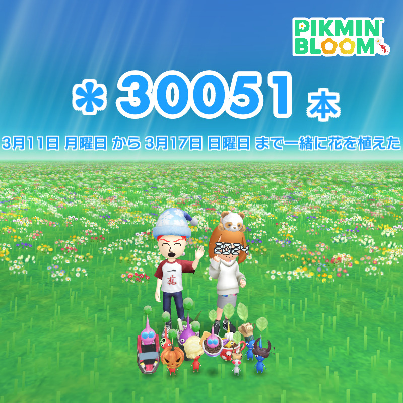 30000歩達成